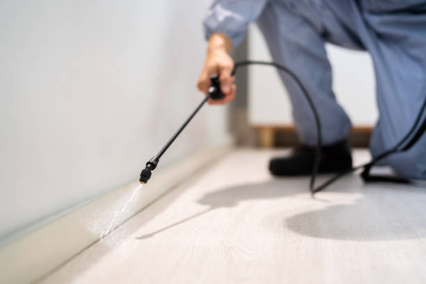Licensed Termite Control service in Dexter, GA - Nex Pest Control