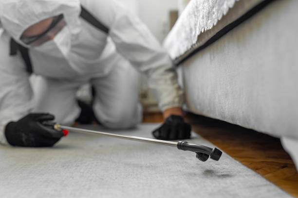 Professional Termite Control technician working in Dexter, GA