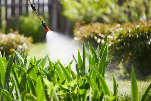 24/7 Emergency Termite Control experts in Dexter, GA