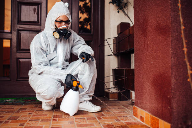 Reliable Termite Control contractor in Dexter, GA by Nex Pest Control