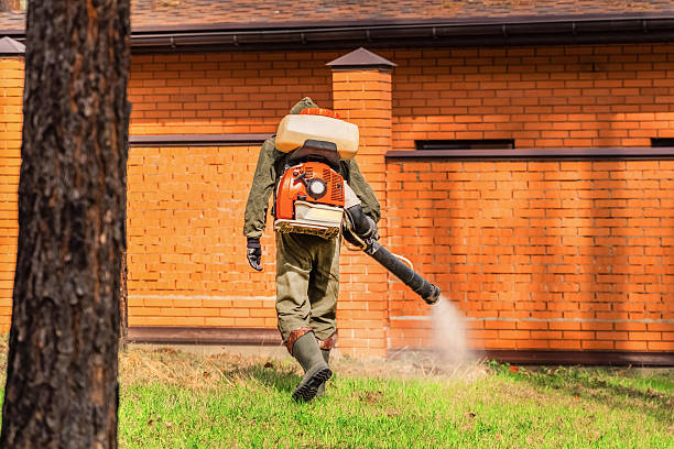 Top rated local Termite Control specialists in Dexter, GA
